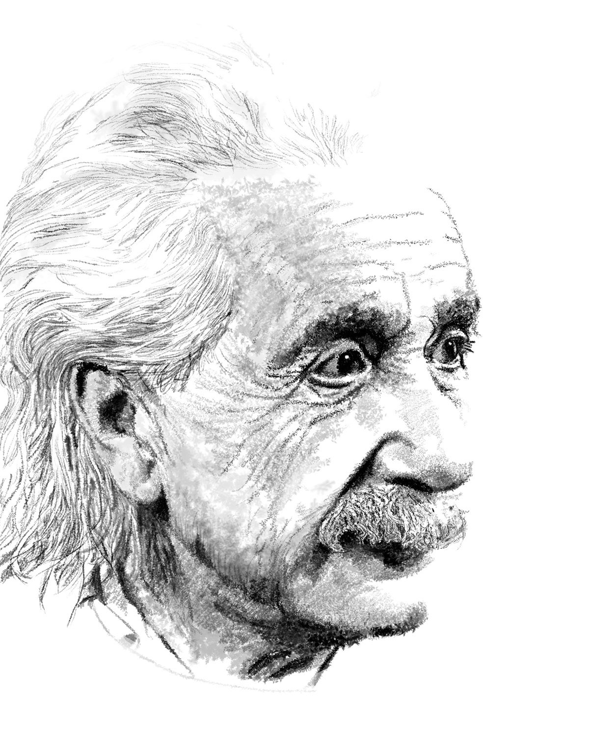 Graphiste indépendant, création d'illustrations, dessin d'Albert Einstein