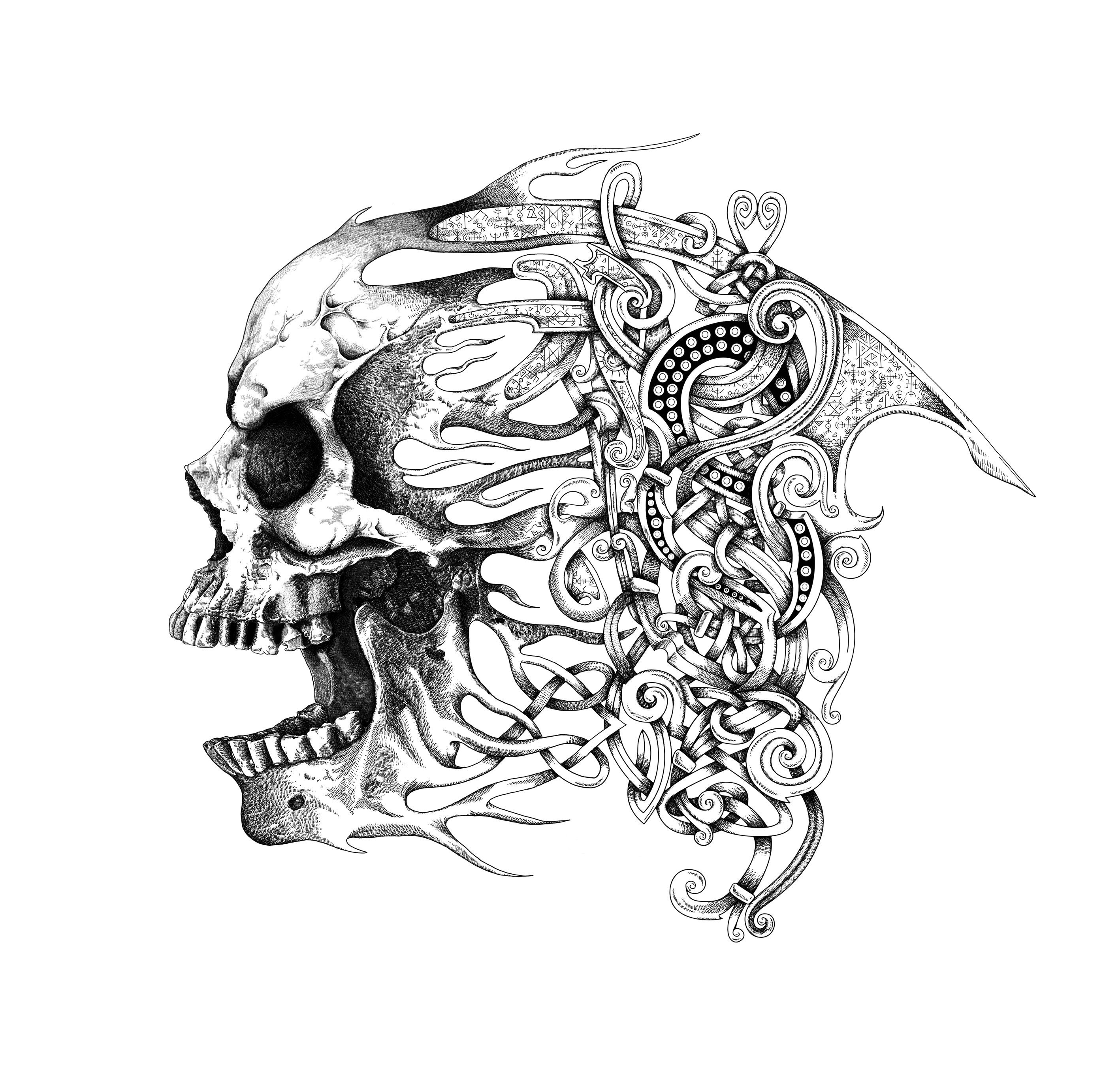 Graphiste indépendant, création d'illustrations pour tatouage avec crâne et entrelacs celtiques