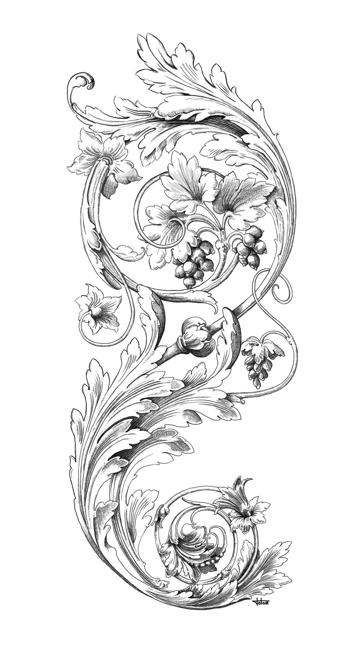 Graphiste indépendant, création d'illustrations pour tatouage florale, fleur, plante