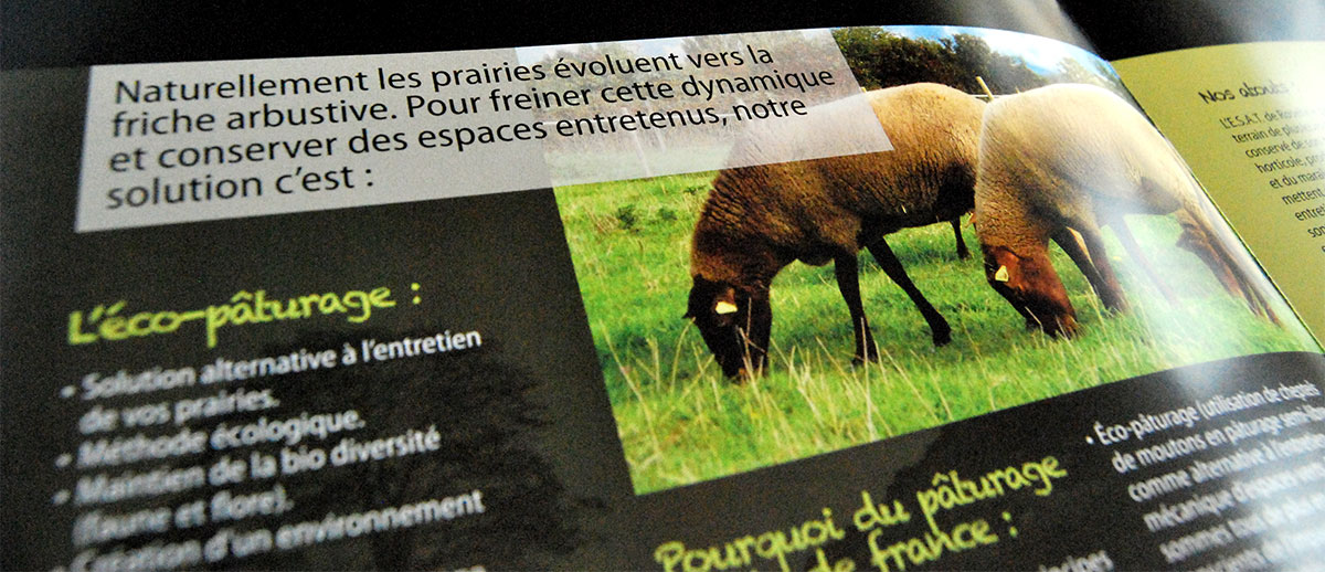 Graphiste indépendant, création et mise en page de plaquettes commerciales dépliant 2 volets Éco-pâturage Moutons