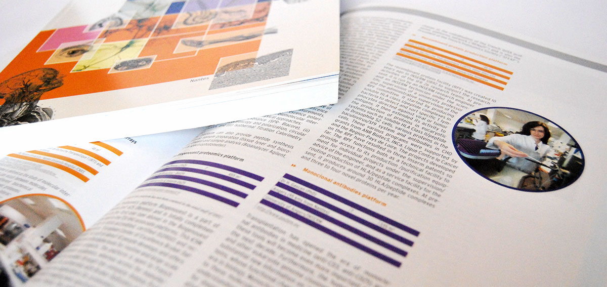 Graphiste indépendant, création et mise en page de rapports d'activité, science immunologique