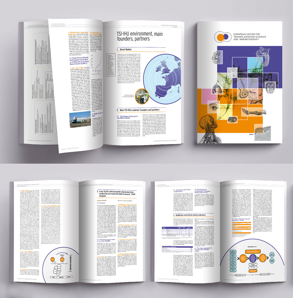 Graphiste indépendant, création et mise en page de rapports d'activité, science et transplantation